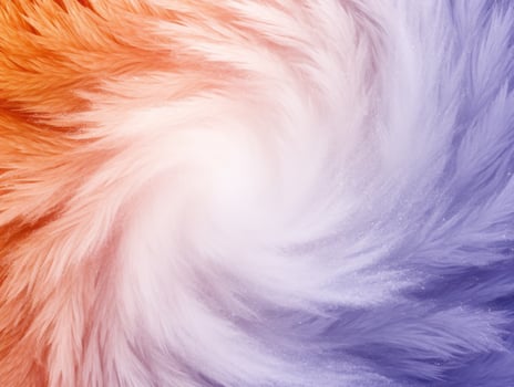 a swirl of white and orange feathers photo