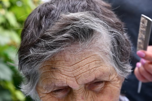 Deep wrinkles on aged skin of forehead 80s woman while cutting her gray hair. Cut off ends of hair cover elderly skin of granny face photo