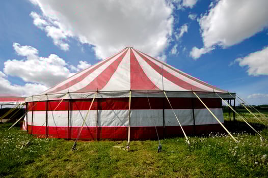 Circus tent in nature photo