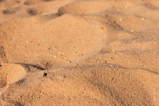 Close-up of sand texture on the beach in summer. Red Sea, Egypt. Copy space. photo