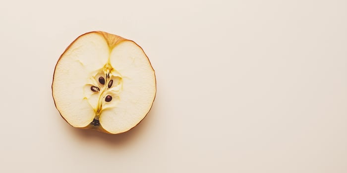 Single dried apple slice centered on a plain background, food setting photo