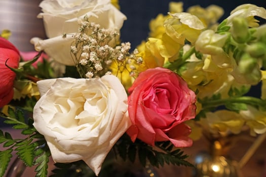 Close up colorful blooming white and pink rose bouquet photo