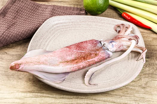 Raw fresh squid for cooking photo