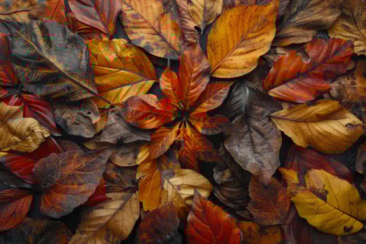 Vibrant Autumn Leaves in Rich Hues of Red, Orange, and Brown Creating a Stunning Seasonal Background photo