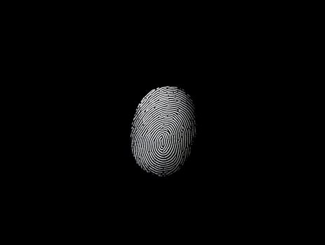 Fingerprint identity security . Thumbprint for criminal scenes or id authentification photo