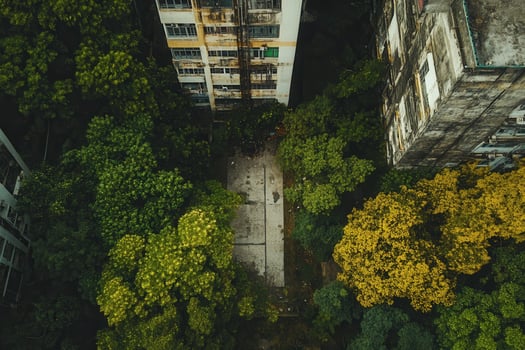 Overgrown urban courtyard between buildings. photo