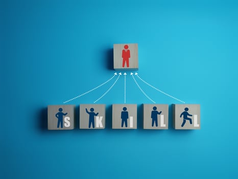 Business Competence, Executive Leadership Skills and Differences photo