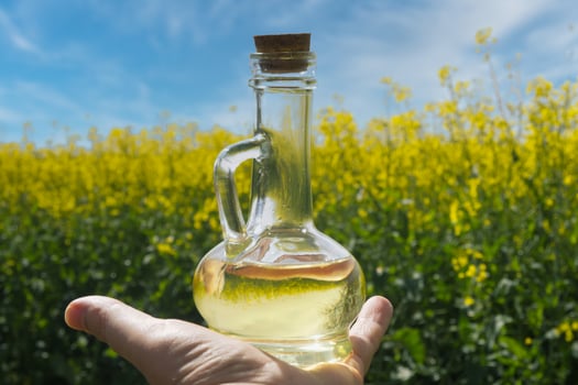 Hand holding a transparent glass bottle brimming with golden rapeseed oil photo
