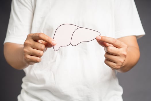 Hands holding a liver shape made of paper while standing on a gray background photo