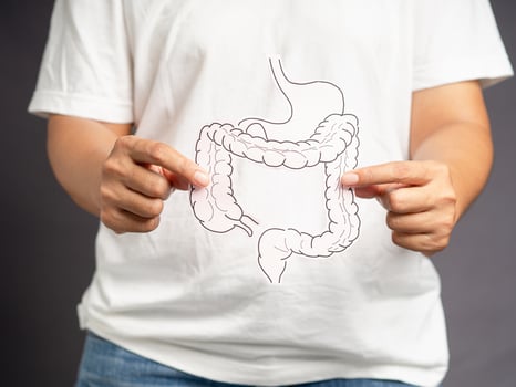 Hand holding a large intestine shape made from paper while standing over a gray background photo