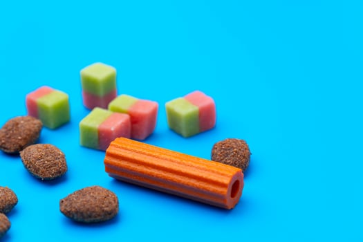 Pet snacks for dogs on blue background photo