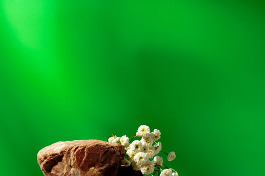 Mock up stone podium against green background photo