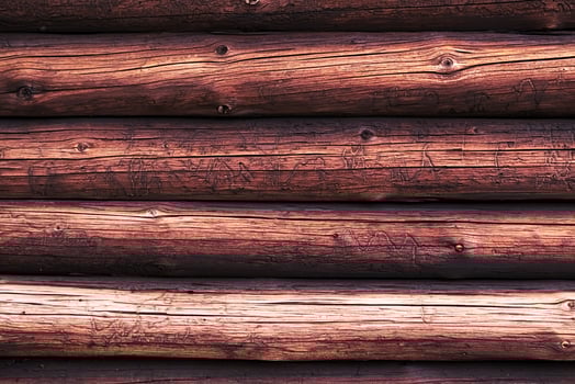 Wooden logs with a groove and hole structure made by insects photo