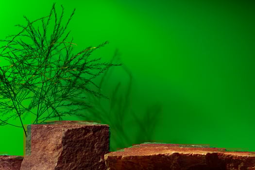 Stone display for product against green background photo
