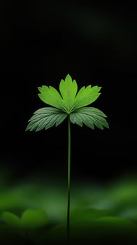 Unique green leaf standing tall against a dark background photo
