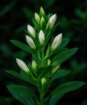 Beautiful flowers preparing to bloom in a lush garden photo