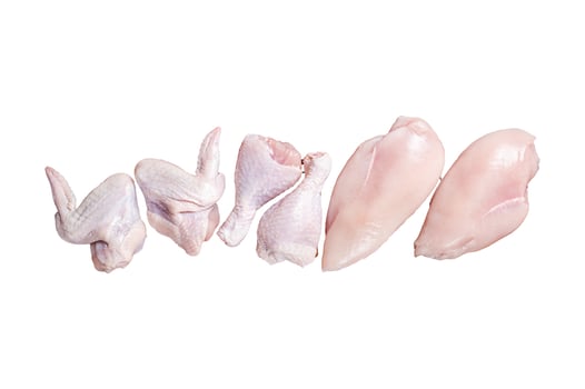 Chicken meat assortment. Raw parts - drumstick, breast fillet, wings, thigh. Isolated, white background. photo