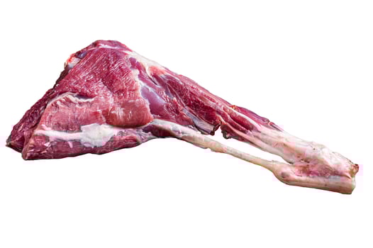 Whole raw lamb leg meat on the bone. Isolated on white background photo