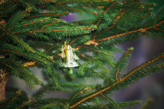 Green fir-tree branches with decor photo