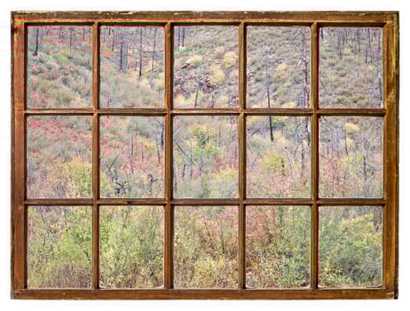 tapestry of shrubs in fall colors - window view photo
