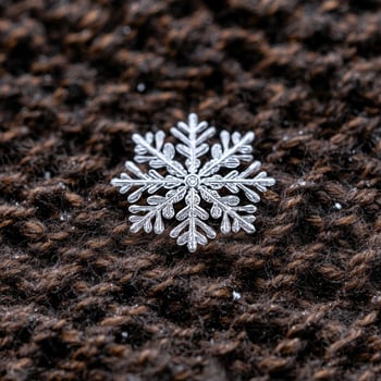 Intricate snowflake on forest floor photo