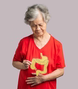 A senior woman is holding a large intestine shape made from paper while standing on a gray background photo