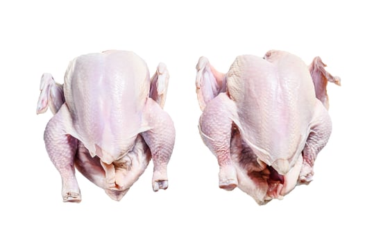 Organic farm raw whole chicken. Isolated on white background. photo