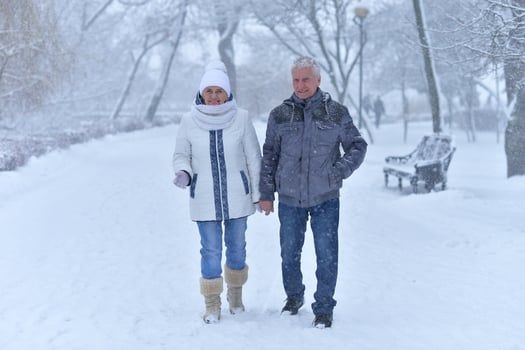 An elderly couple walks in a winter park photo