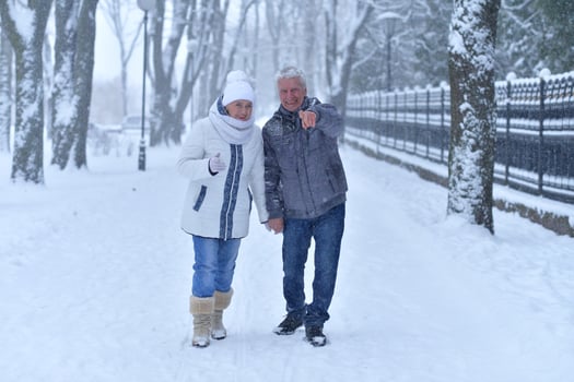 An elderly couple walks in a winter park photo