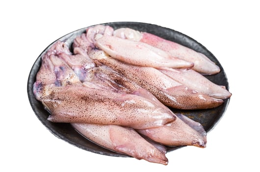 Raw squid, fresh calamari in a plate. Isolated on white background. Top view. photo