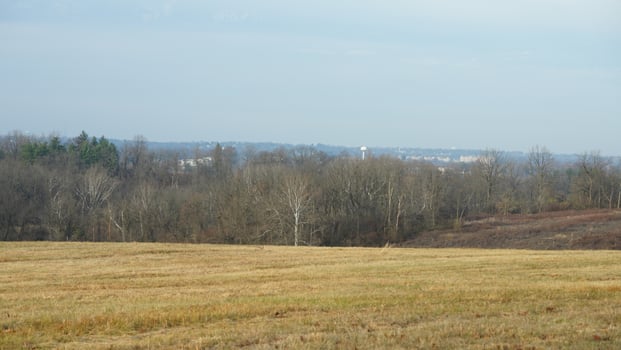 The valley Forge view with the meadows and woods in the USA photo