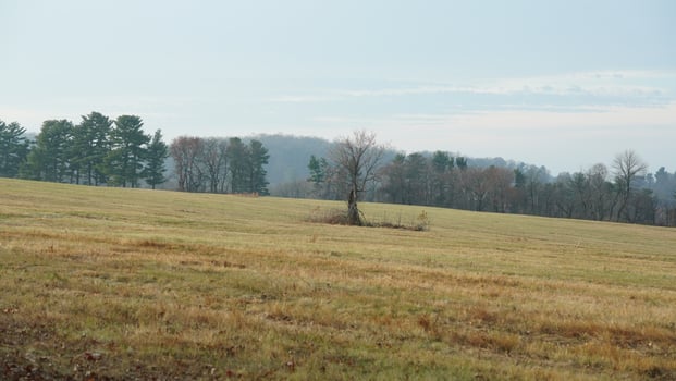 The valley Forge view with the meadows and woods in the USA photo