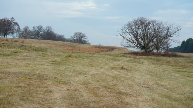 The valley Forge view with the meadows and woods in the USA photo