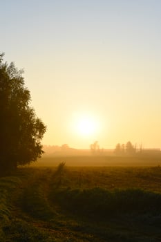 The rising sun in the morning field. The misty landscape of the countryside. photo