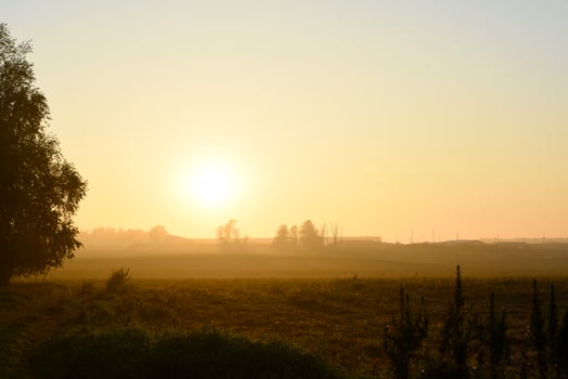 The rising sun in the morning field. The misty landscape of the countryside. photo