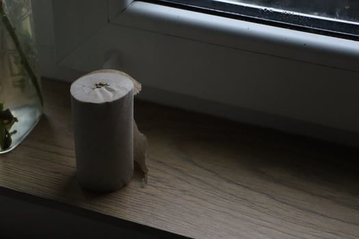 Natural Elements Beautifully Displayed on a Windowsill Surrounded by a Roll of Paper photo