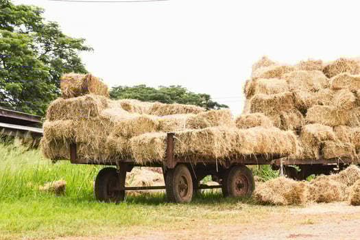Hay wagon infarm photo