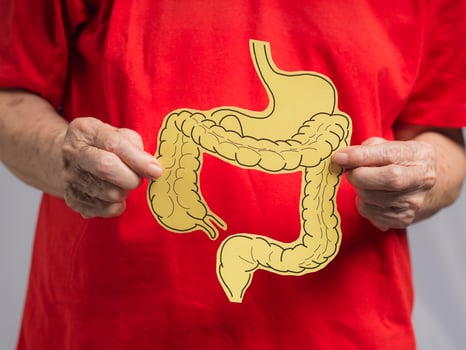 Close-up of hands old woman holding a large intestine shape made from yellow paper photo