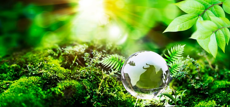 Globe Glass In Green Forest With Sunlight. Environment concept photo
