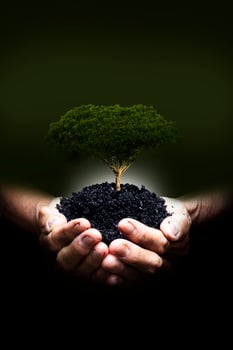 Ecology, protection of natural environment, earth day concept photo