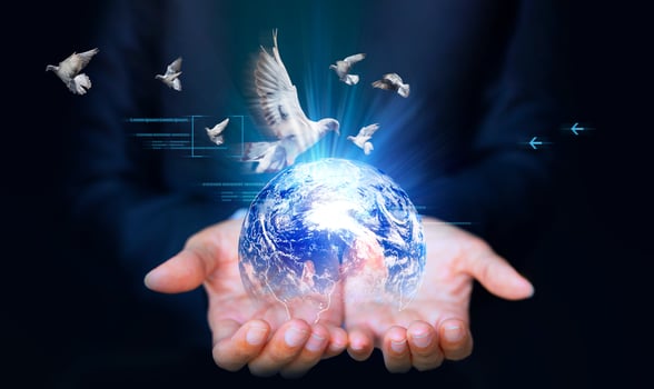 dove flying over the earth concept of global warming, environmental protection, ecology, ecology concept, photo