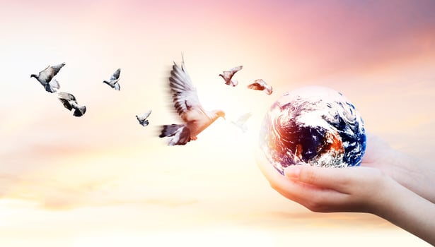 earth and birds flying over the sky concept photo