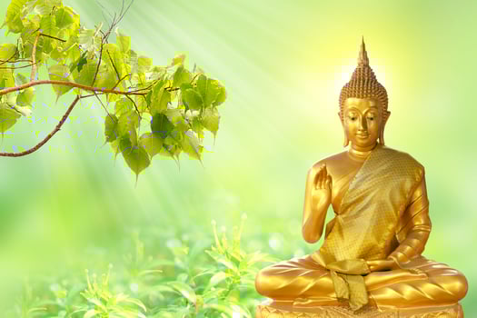 a golden buddha statue is sitting in the grass photo