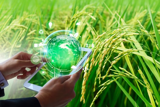 the future of agriculture is digital photo