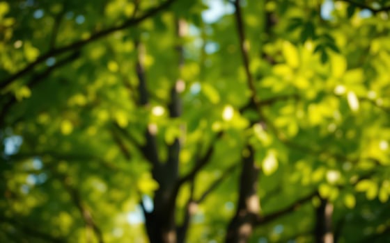 Lush green foliage in a serene forest setting under bright sunlight during springtime photo