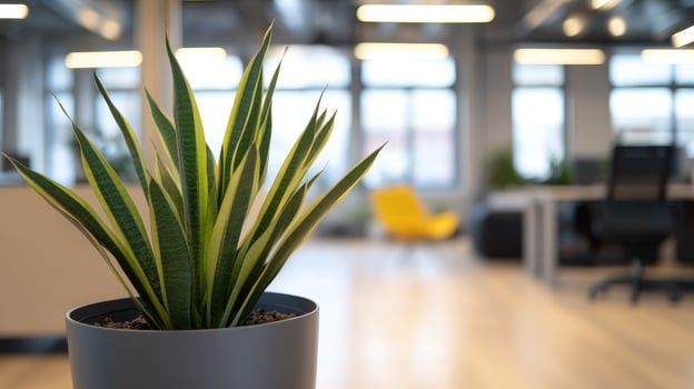 A plant in a pot on a desk in an office photo