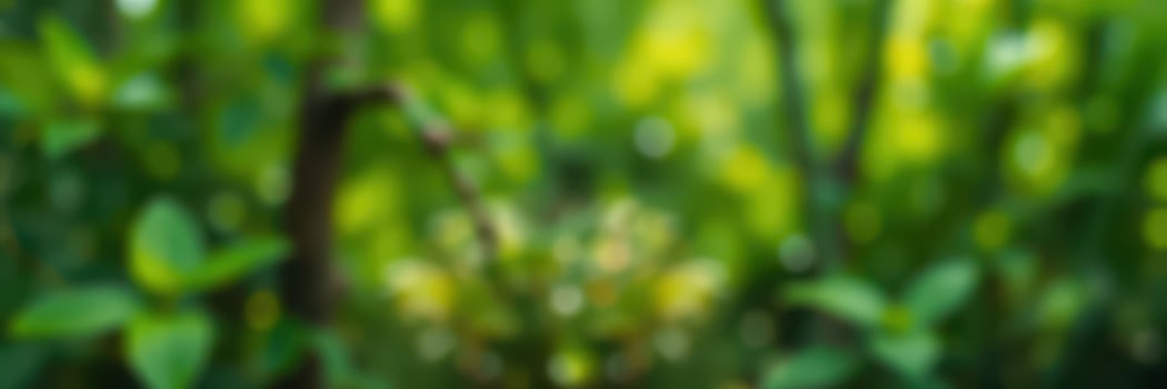 Lush green foliage in a vibrant forest setting during daylight photo