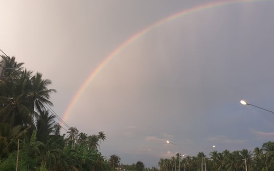 Serene tropical viewpoint vibrant rainbow over tranquil palm trees and colorful evening skies photo