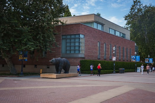 Bruin Bear Statue at UCLA Campus with Modern Brick Building photo