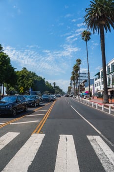 Street Scene in Santa Monica with Palm Trees and Modern Buildings photo